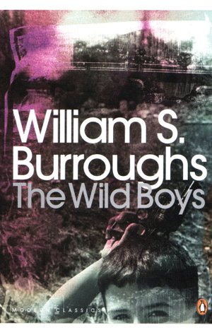 Cover art for The Wild Boys