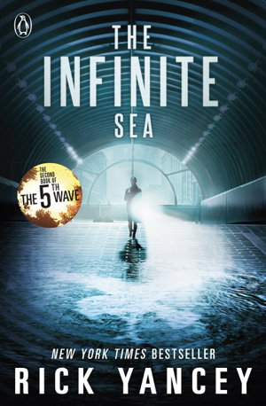 Cover art for The Infinite Sea