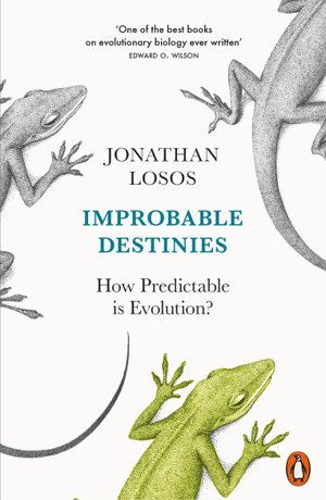Cover art for Improbable Destinies