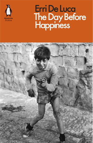 Cover art for The Day Before Happiness