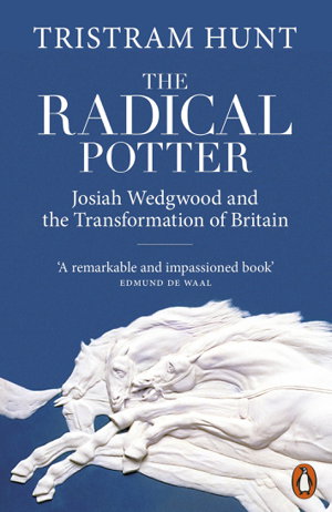Cover art for The Radical Potter