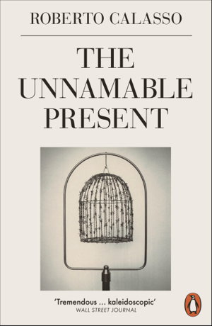 Cover art for The Unnamable Present
