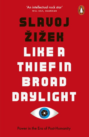 Cover art for Like A Thief In Broad Daylight