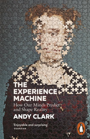 Cover art for The Experience Machine