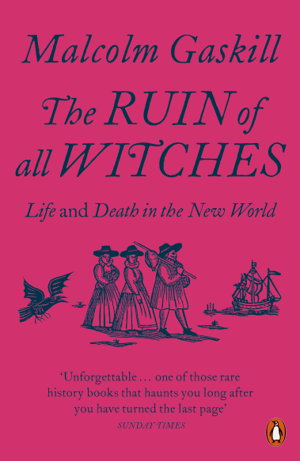Cover art for The Ruin of All Witches