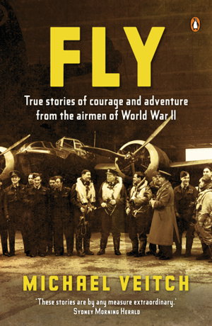 Cover art for Fly: True Stories of Courage and Adventure from the Airmen of World