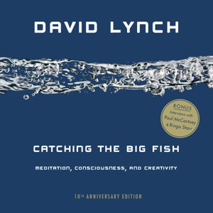 Cover art for Catching the Big Fish