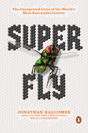 Cover art for Super Fly