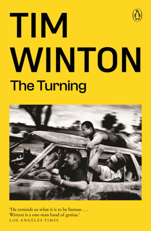 Cover art for The Turning