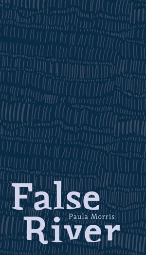 Cover art for False River
