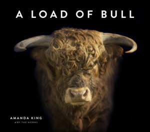 Cover art for Load of Bull