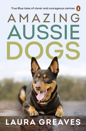 Cover art for Amazing Aussie Dogs