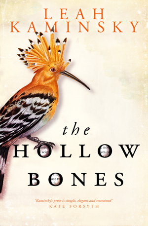 Cover art for The Hollow Bones