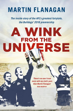 Cover art for A Wink from the Universe