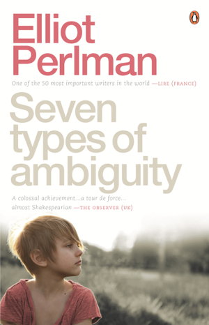Cover art for Seven Types of Ambiguity
