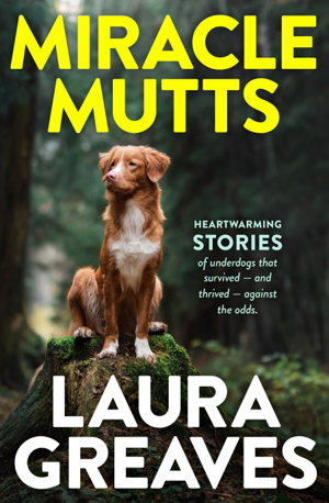 Cover art for Miracle Mutts