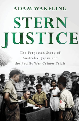 Cover art for Stern Justice