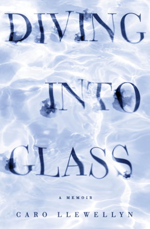Cover art for Diving into Glass