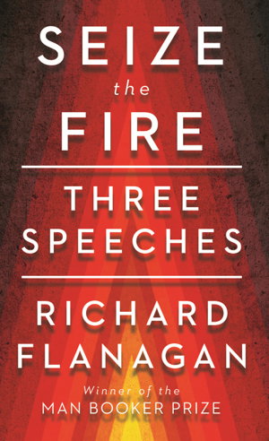 Cover art for Seize the Fire