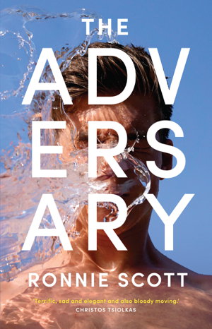 Cover art for Adversary