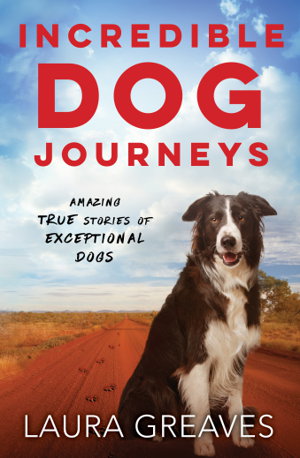 Cover art for Incredible Dog Journeys