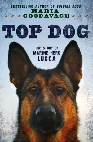 Cover art for Top Dog
