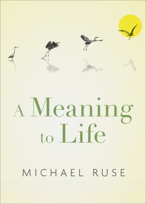 Cover art for A Meaning to Life