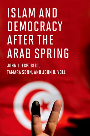 Cover art for Islam and Democracy after the Arab Spring