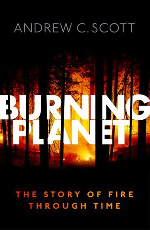 Cover art for Burning Planet