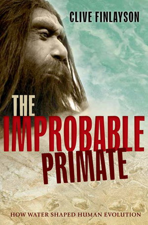Cover art for The Improbable Primate