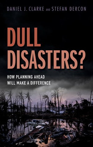 Cover art for Dull Disasters?