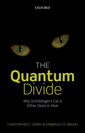 Cover art for Quantum Divide