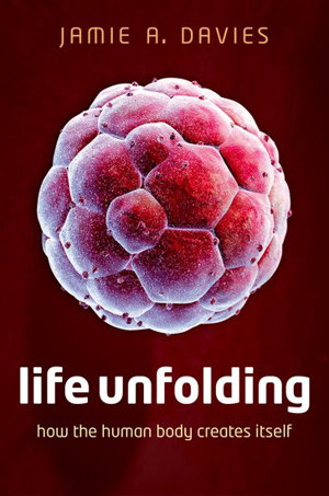 Cover art for Life Unfolding How The Human Body Creates Itself