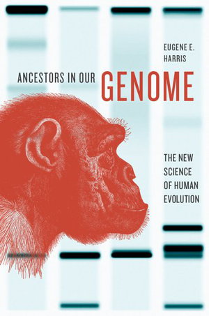 Cover art for Ancestors in Our Genome