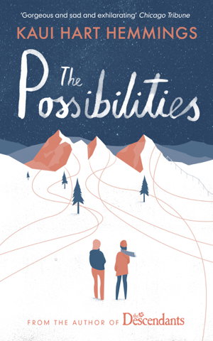 Cover art for The Possibilities