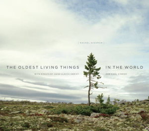 Cover art for Oldest Living Things in the World