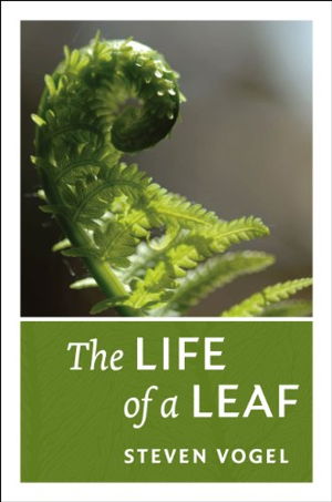 Cover art for The Life of a Leaf