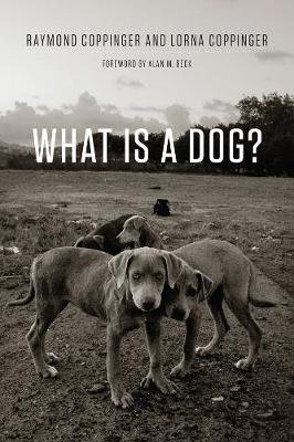 Cover art for What is a Dog?