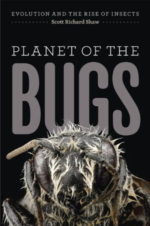 Cover art for Planet of the Bugs