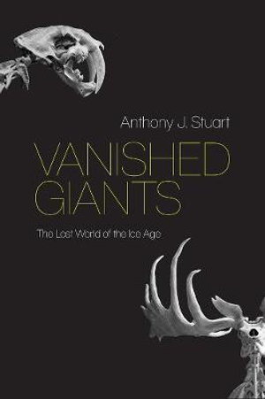 Cover art for Vanished Giants