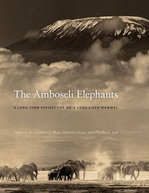 Cover art for The Amboseli Elephants