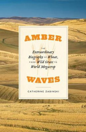 Cover art for Amber Waves
