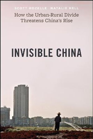 Cover art for Invisible China
