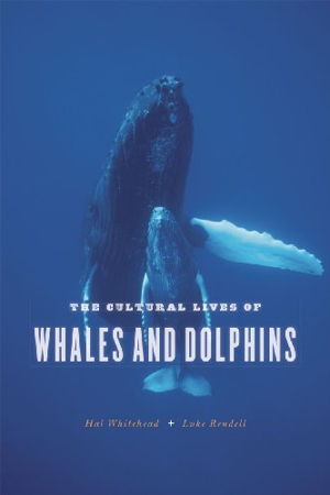 Cover art for The Cultural Lives of Whales and Dolphins