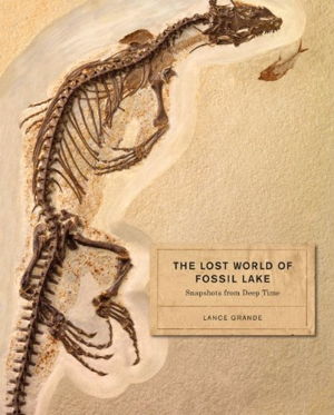 Cover art for The Lost World of Fossil Lake