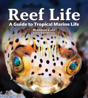 Cover art for Reef Life