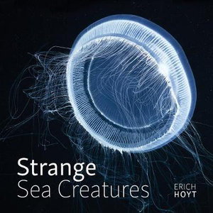 Cover art for Strange Sea Creatures