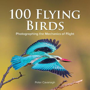 Cover art for 100 Flying Birds