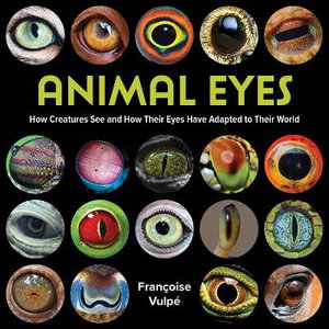 Cover art for Animal Eyes