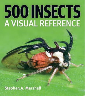 Cover art for 500 Insects: A Visual Reference